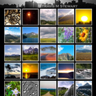 Photo Gallery